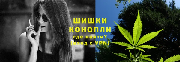 индика Балабаново