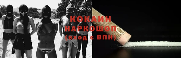 индика Балабаново