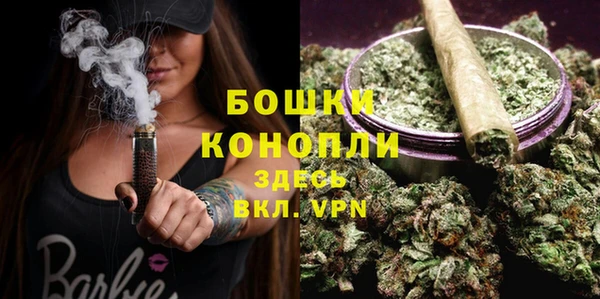 гидра Баксан