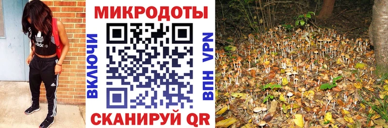 закладка  Нерюнгри  Галлюциногенные грибы Magic Shrooms 